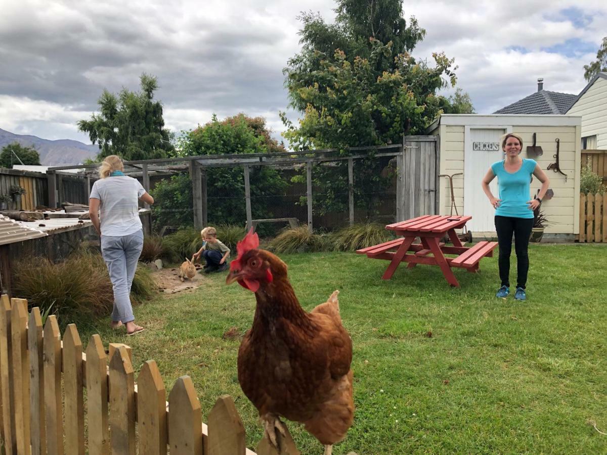 Tailor Made Tekapo Accommodation - Guesthouse & Hostel レイク・テカポ エクステリア 写真