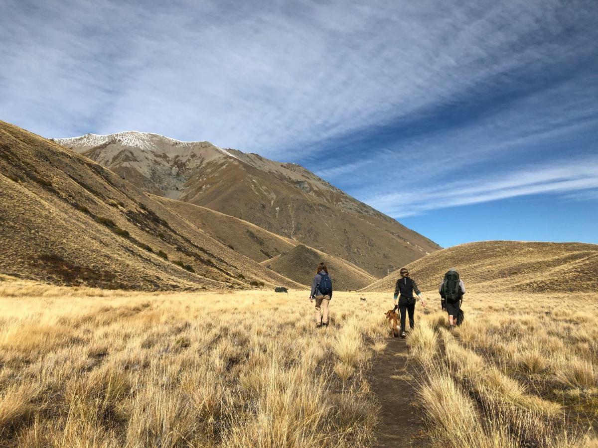 Tailor Made Tekapo Accommodation - Guesthouse & Hostel レイク・テカポ エクステリア 写真